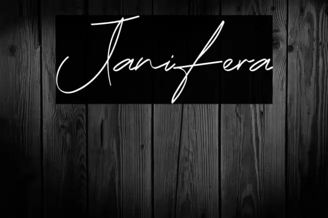 Janifera Schriftart examples