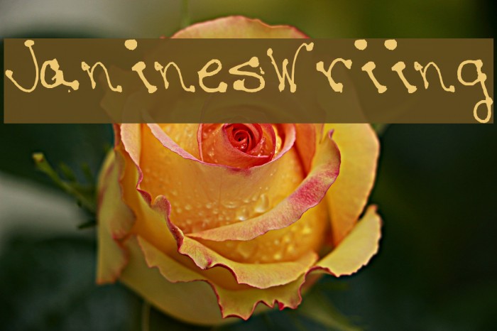 Janine-s-Writing Font examples