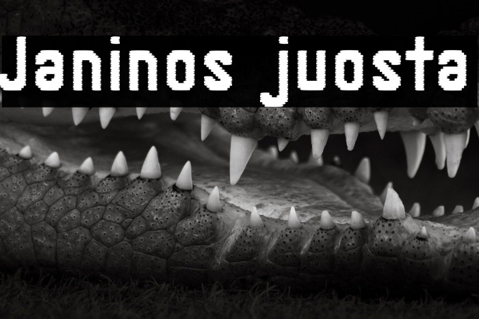 Janinos juosta Example 1