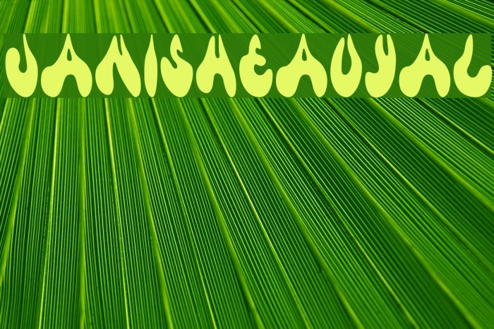 JanisHeavyAl Example 2