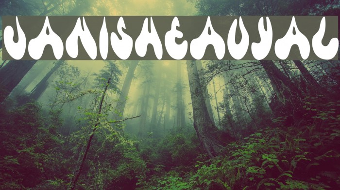 JanisHeavyAl Example 3