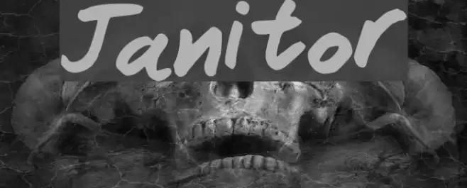 Janitor Font examples