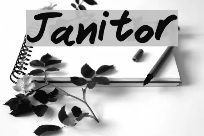Janitor Font examples