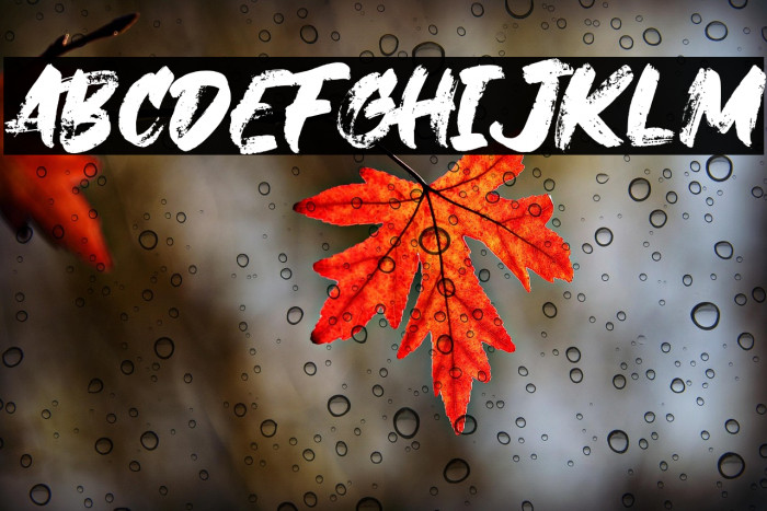 Janji Dilan Example 3