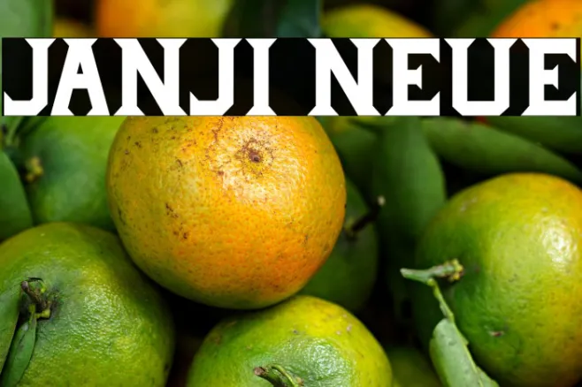 Janji Neue Example 2