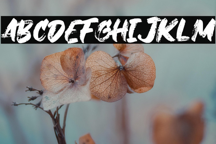 JanjiDilan Example 1