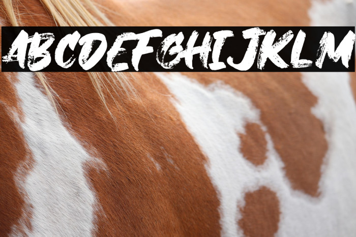 JanjiDilan Example 3