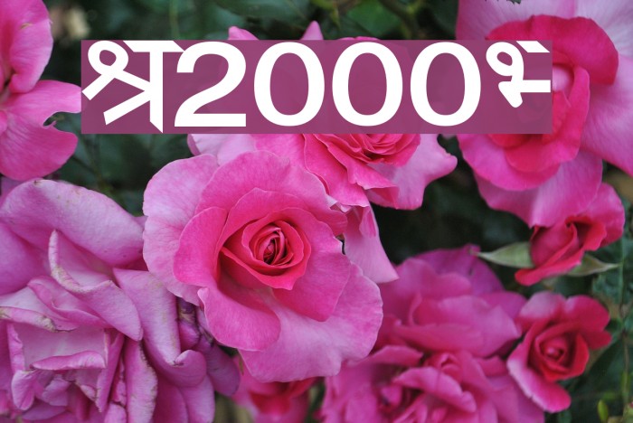 Janmeja2000H フォント examples