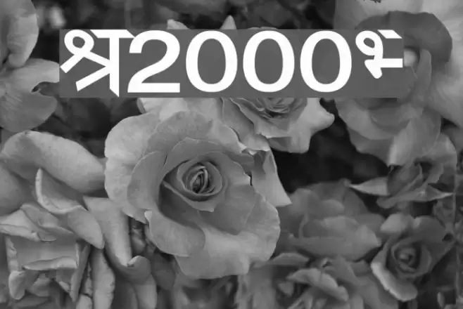 Janmeja2000H Schriftart examples