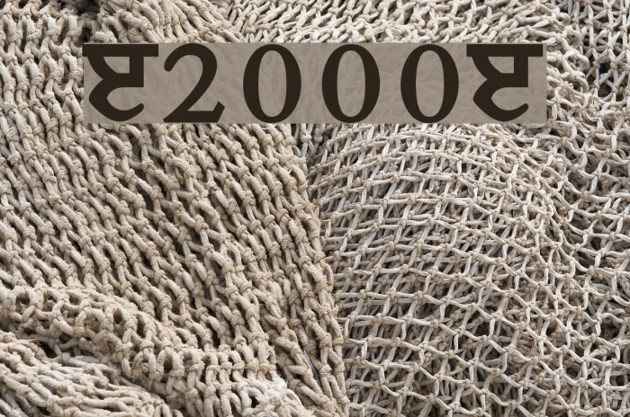 Janmeja2000J フォント examples