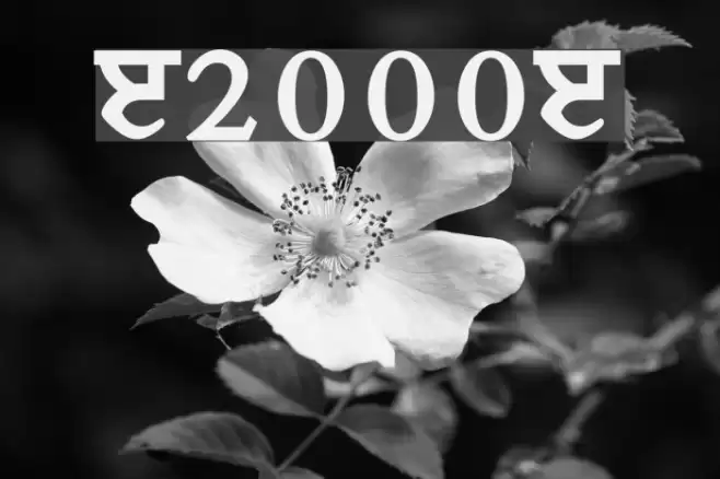 Janmeja2000J Font examples