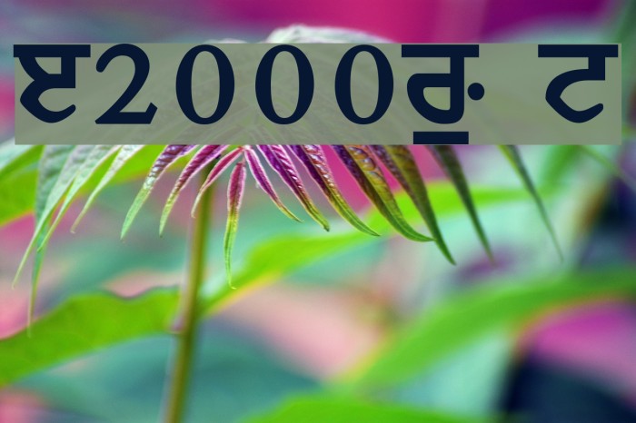 Janmeja2000W Normal Font examples