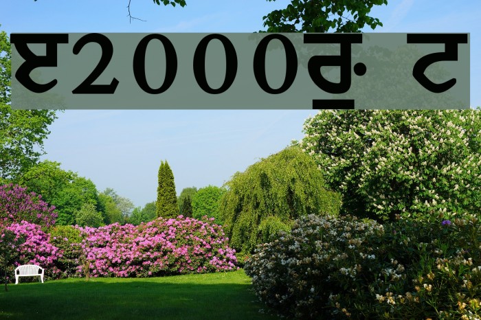 Janmeja2000W Normal Font examples