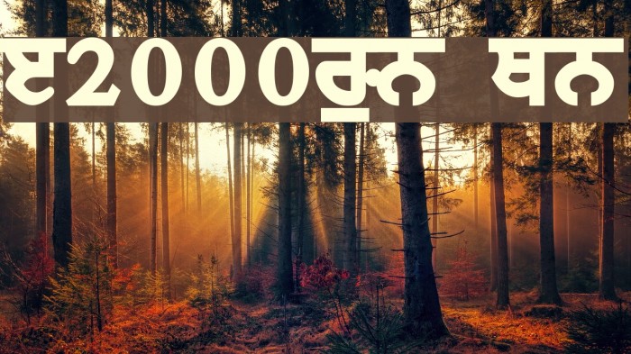 Janmeja2000WB ExtraBold Font examples