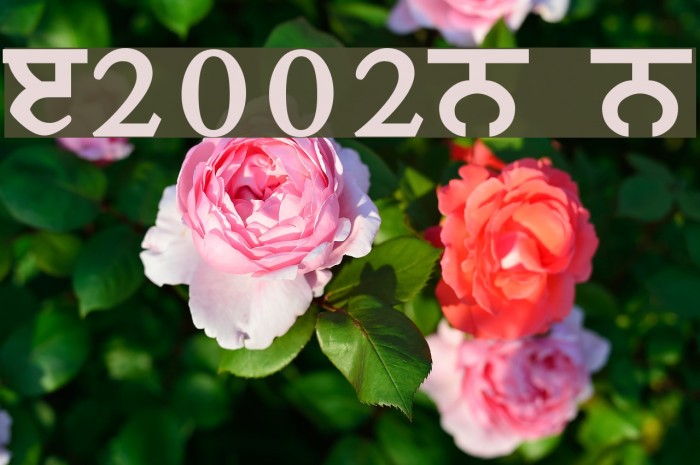 Janmeja2002B Bold Font examples