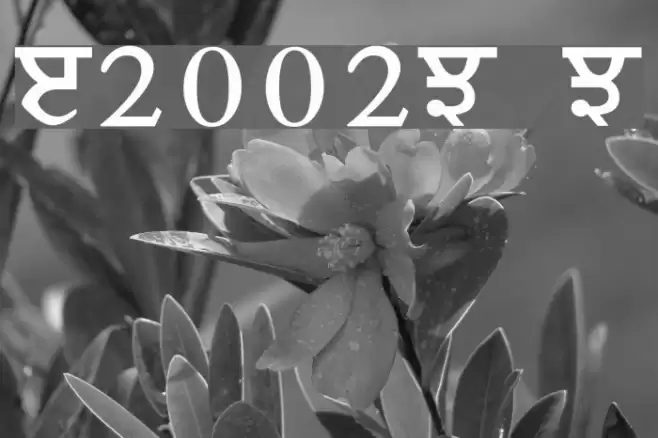 Janmeja2002M Medium Fonte examples