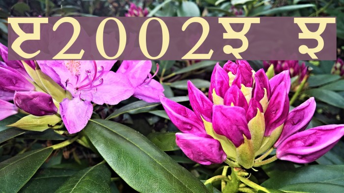 Janmeja2002M Medium Font examples