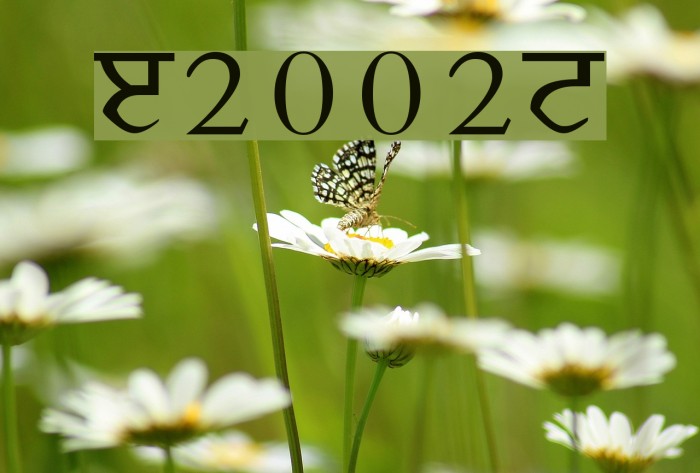 Janmeja2002N Font examples
