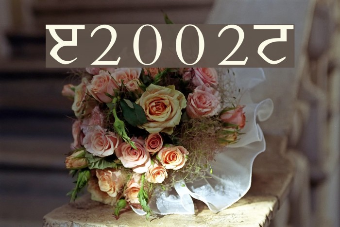 Janmeja2002N Font examples