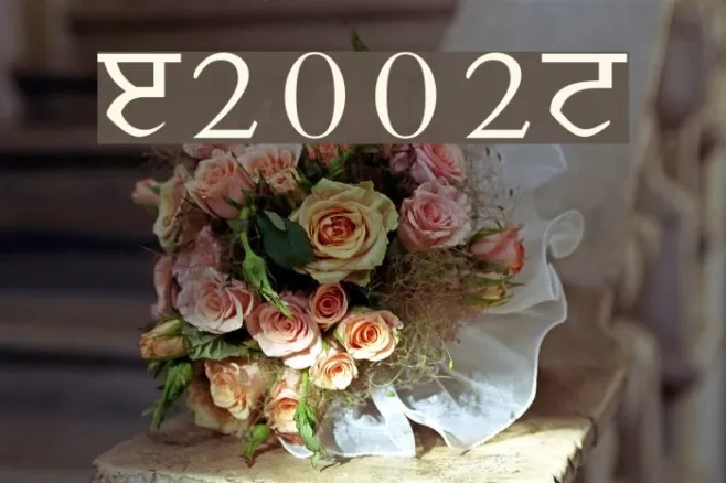 Janmeja2002N Example 2