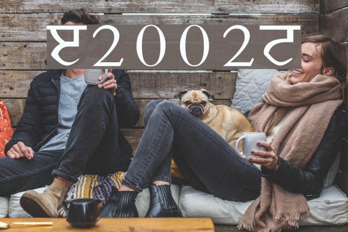 Janmeja2002N Font examples