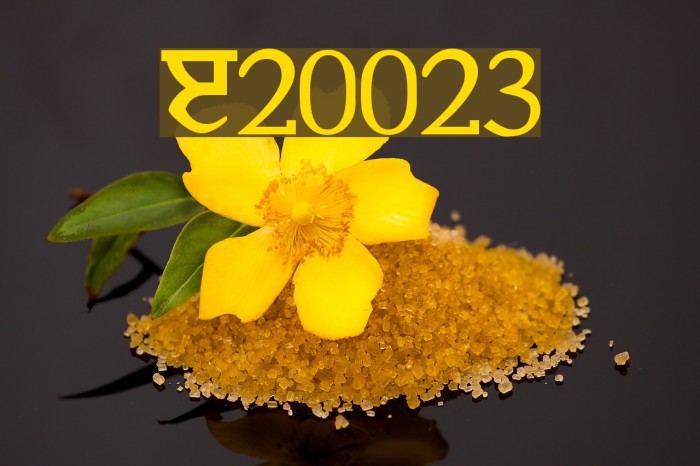 Janmeja2002june3 Шрифта examples