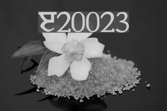 Janmeja2002june3 Шрифта examples