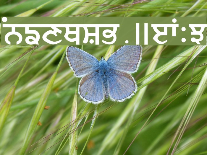 Janmeja2920a Font examples