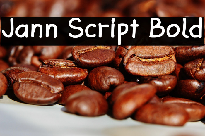 Jann Script Bold Example 1