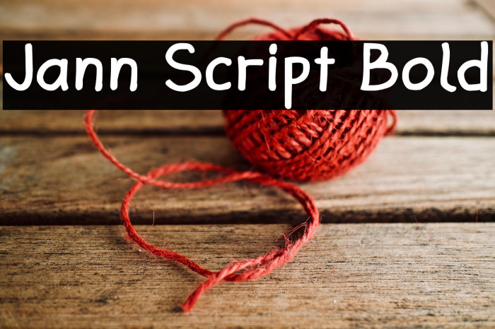 Jann Script Bold Example 2