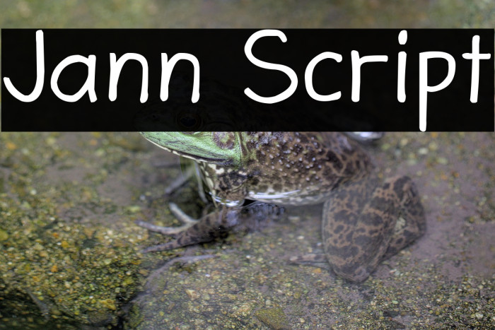 Jann Script Example 1