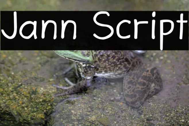 Jann Script Example 1