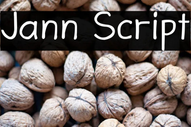 Jann Script Example 3
