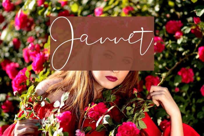 Jannet Caratteri examples