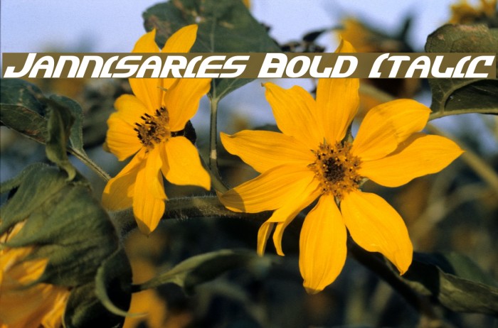 Jannisaries Bold Italic Font examples