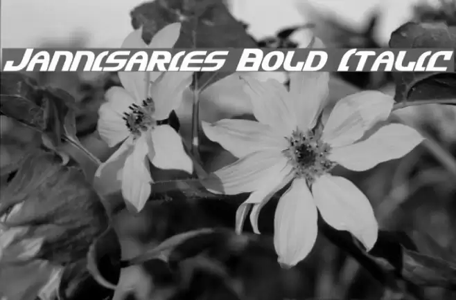 Jannisaries Bold Italic Fuentes examples