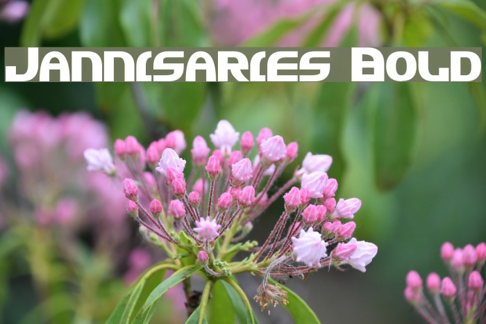 Jannisaries Bold Font examples