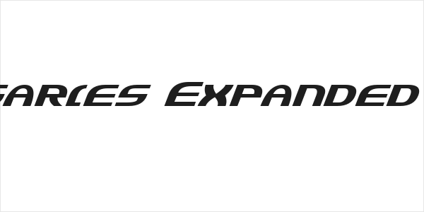 Jannisaries Expanded Italic Logo