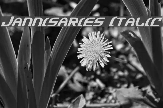 Jannisaries Italic फ़ॉन्ट examples