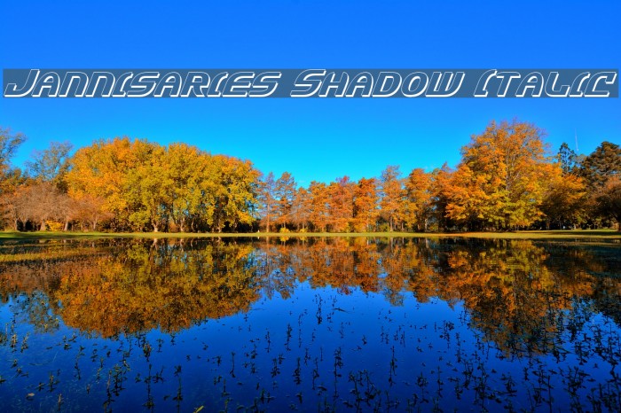 Jannisaries Shadow Italic Fuentes examples
