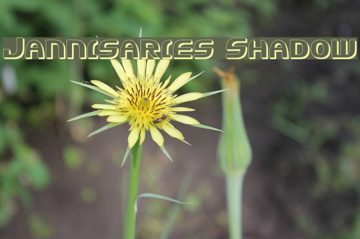 Jannisaries Shadow Font examples