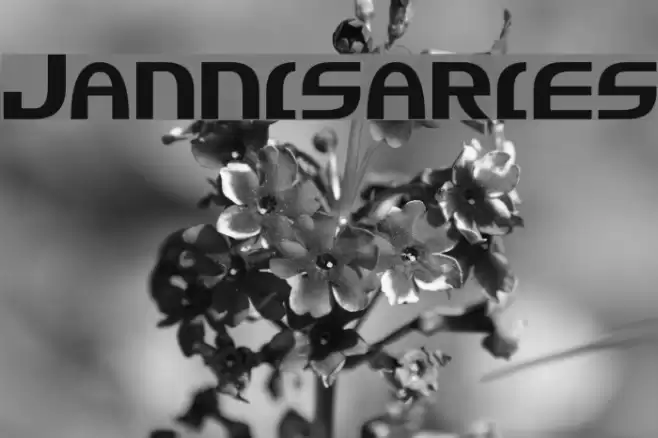 Jannisaries Font examples