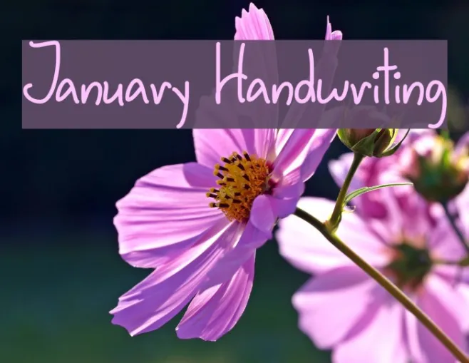 January Handwriting Example 2