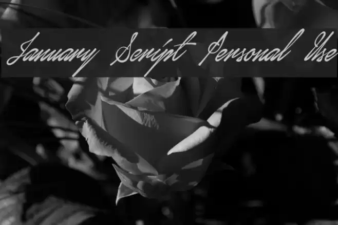 January Script Personal Use Caratteri examples