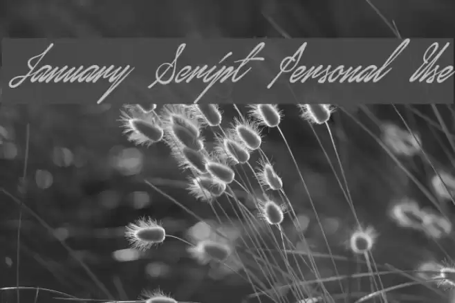 January Script Personal Use Caratteri examples