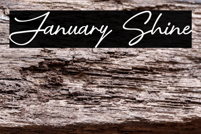 January Shine Example 3