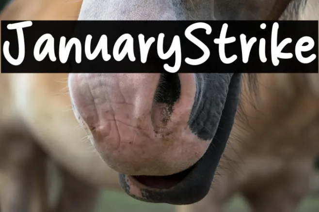 January Strike Example 3