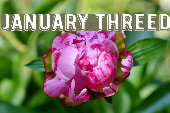 January Threed Font examples