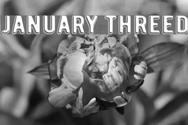 January Threed Polices examples