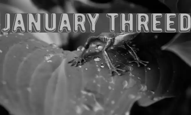 January Threed Polices examples